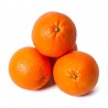 Orange à jus