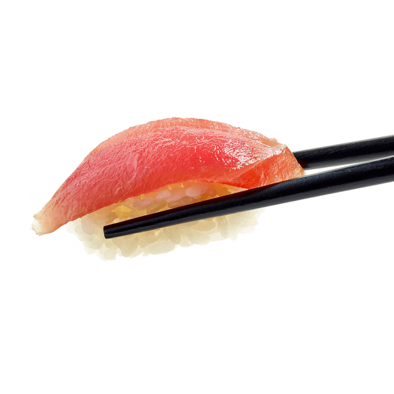 Nigiri Maguro Nigiri Maguro
