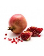 Fruits frais